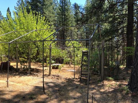 3645 Stope Dr, Placerville, CA 95667 photo 34