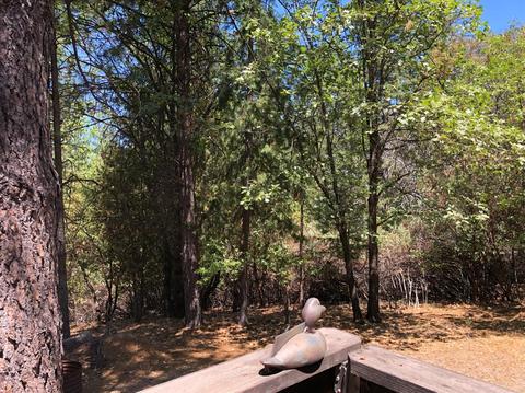 3645 Stope Dr, Placerville, CA 95667 photo 28