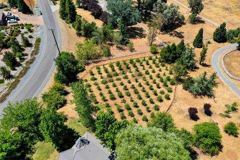 5226 Prairie Loop, Placerville, CA 95667 photo 35
