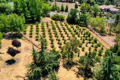 5226 Prairie Loop, Placerville, CA 95667 photo 31