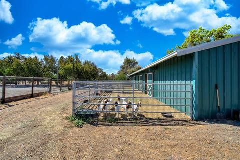 26880 Cassidy Ln, Davis, CA 95616 photo 90