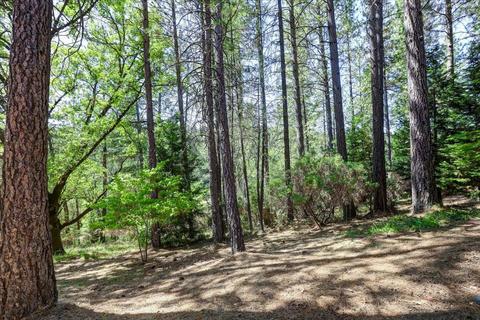 1737 Deerhaven Ln, Colfax, CA 95713 photo 53