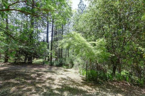 1737 Deerhaven Ln, Colfax, CA 95713 photo 55
