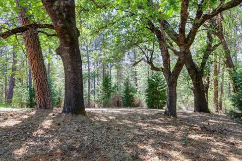 1737 Deerhaven Ln, Colfax, CA 95713 photo 49