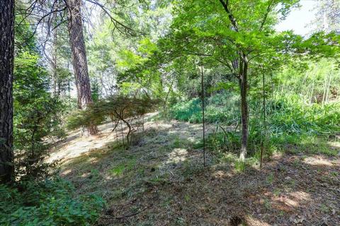 1737 Deerhaven Ln, Colfax, CA 95713 photo 51