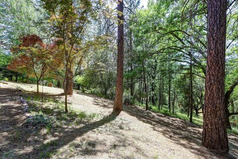 1737 Deerhaven Ln, Colfax, CA 95713 photo 52