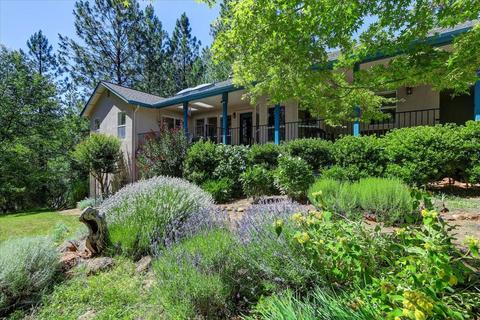 1737 Deerhaven Ln, Colfax, CA 95713 photo 46