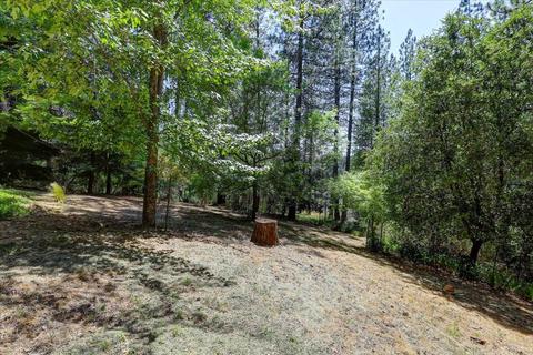 1737 Deerhaven Ln, Colfax, CA 95713 photo 54