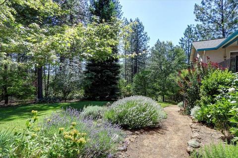 1737 Deerhaven Ln, Colfax, CA 95713 photo 59