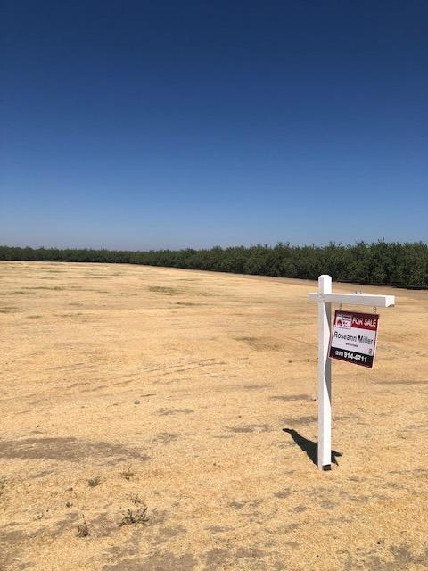 24587 S Bird Rd, Tracy, CA 95304 photo 1