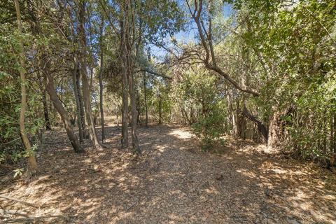 1429 Cornell Dr, Davis, CA 95616 photo 26
