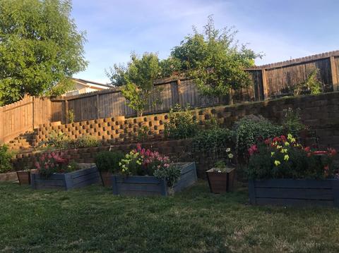 3752 Elk River Ct, Antelope, CA 95843 photo 21