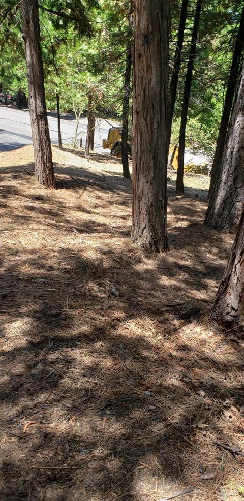 181 Forest Meadows Dr, Murphys, CA 95247 photo 4