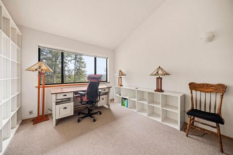 26269 Shake Ridge Rd, Volcano, CA 95689 photo 41