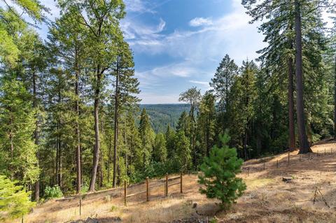 26269 Shake Ridge Rd, Volcano, CA 95689 photo 17