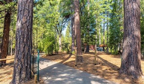 26269 Shake Ridge Rd, Volcano, CA 95689 photo 55