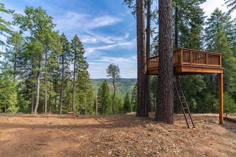 26269 Shake Ridge Rd, Volcano, CA 95689 photo 18