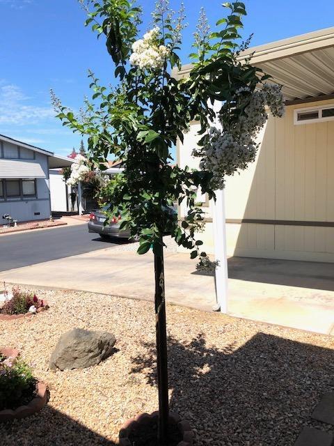 1500 Held Dr #125, Modesto, CA 95355 photo 37