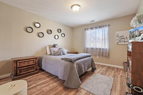 399 Shadowberry Pl, Lathrop, CA 95330 photo 20