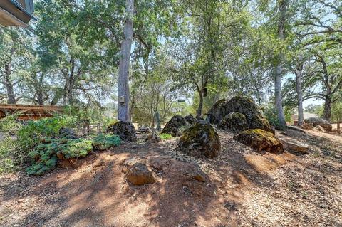 2821 Paymaster Trl, Cool, CA 95614 photo 38