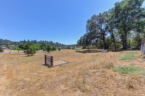 2821 Paymaster Trl, Cool, CA 95614 photo 45