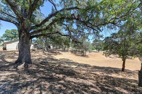 2821 Paymaster Trl, Cool, CA 95614 photo 51
