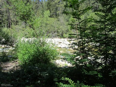 Undisclosed, Washington, CA 95986 photo 11