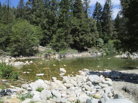 Undisclosed, Washington, CA 95986 photo 6