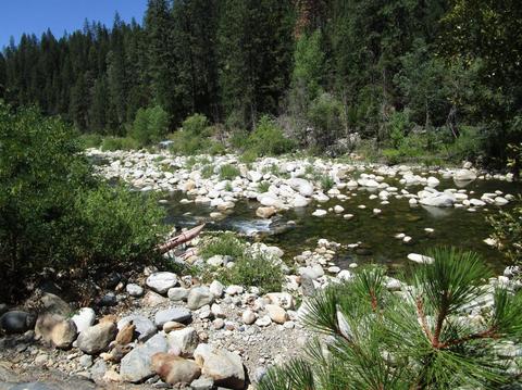 Undisclosed, Washington, CA 95986 photo 31