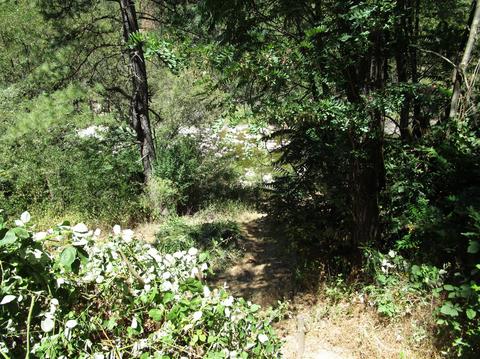 Undisclosed, Washington, CA 95986 photo 24