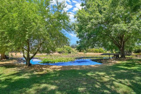 10631 Freeman Rd, Wilton, CA 95693 photo 24