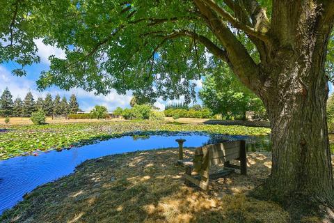 10631 Freeman Rd, Wilton, CA 95693 photo 26