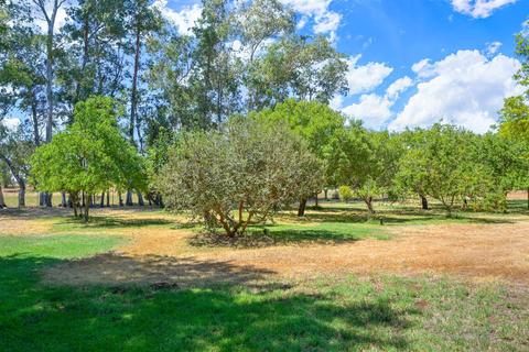 10631 Freeman Rd, Wilton, CA 95693 photo 25