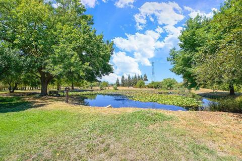 10631 Freeman Rd, Wilton, CA 95693 photo 27