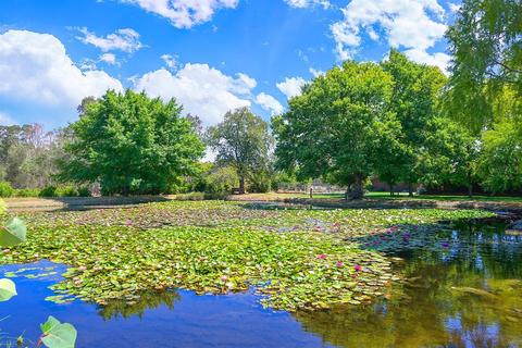 10631 Freeman Rd, Wilton, CA 95693 photo 30