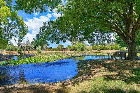 10631 Freeman Rd, Wilton, CA 95693 photo 1