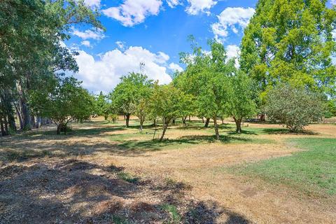 10631 Freeman Rd, Wilton, CA 95693 photo 22