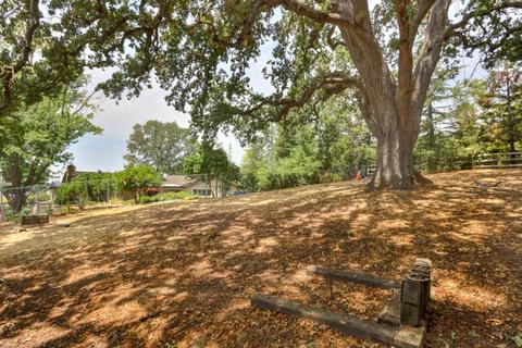 8024 Peerless Ave, Orangevale, CA 95662 photo 43
