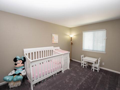 217 Beechwood Ct, Lodi, CA 95240 photo 25