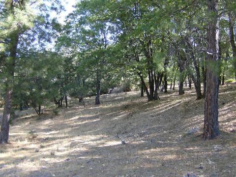 16852 Alexandra Way, Grass Valley, CA 95949 photo 1