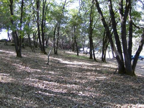 16852 Alexandra Way, Grass Valley, CA 95949 photo 5