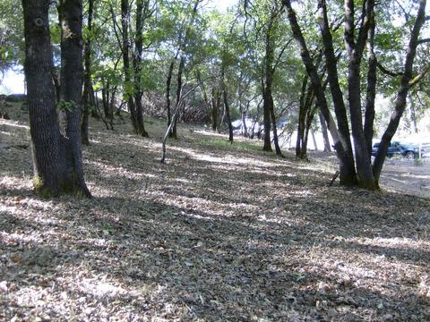 16852 Alexandra Way, Grass Valley, CA 95949 photo 11