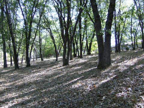 16852 Alexandra Way, Grass Valley, CA 95949 photo 4