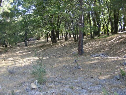 16852 Alexandra Way, Grass Valley, CA 95949 photo 7