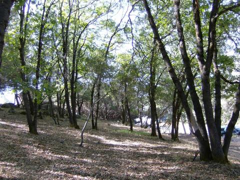 16852 Alexandra Way, Grass Valley, CA 95949 photo 9