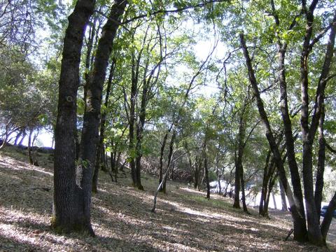 16852 Alexandra Way, Grass Valley, CA 95949 photo 10