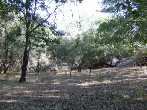 16852 Alexandra Way, Grass Valley, CA 95949 photo 3