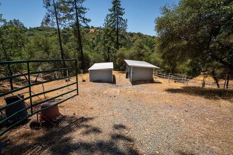 17271 Clinton Rd, Jackson, CA 95642 photo 16