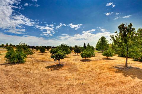12921 Furlong Dr, Wilton, CA 95693 photo 47