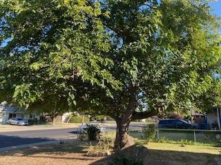 4326 Evelyn Dr, Olivehurst, CA 95961 photo 25